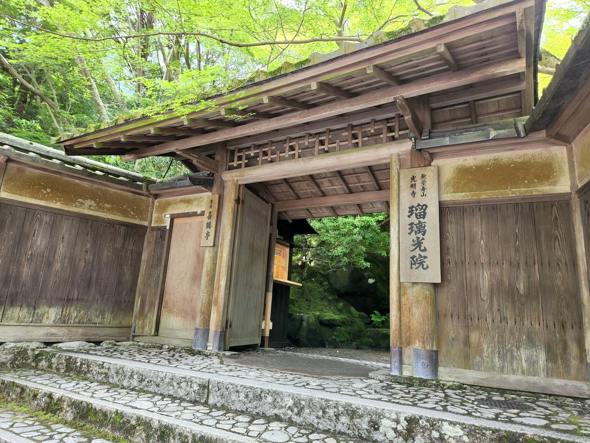 jun122922210's tweet photo. 京都うろうろお散歩
瑠璃光院
青もみじを堪能してきたよ https://t.co/N0CuSSEaSv