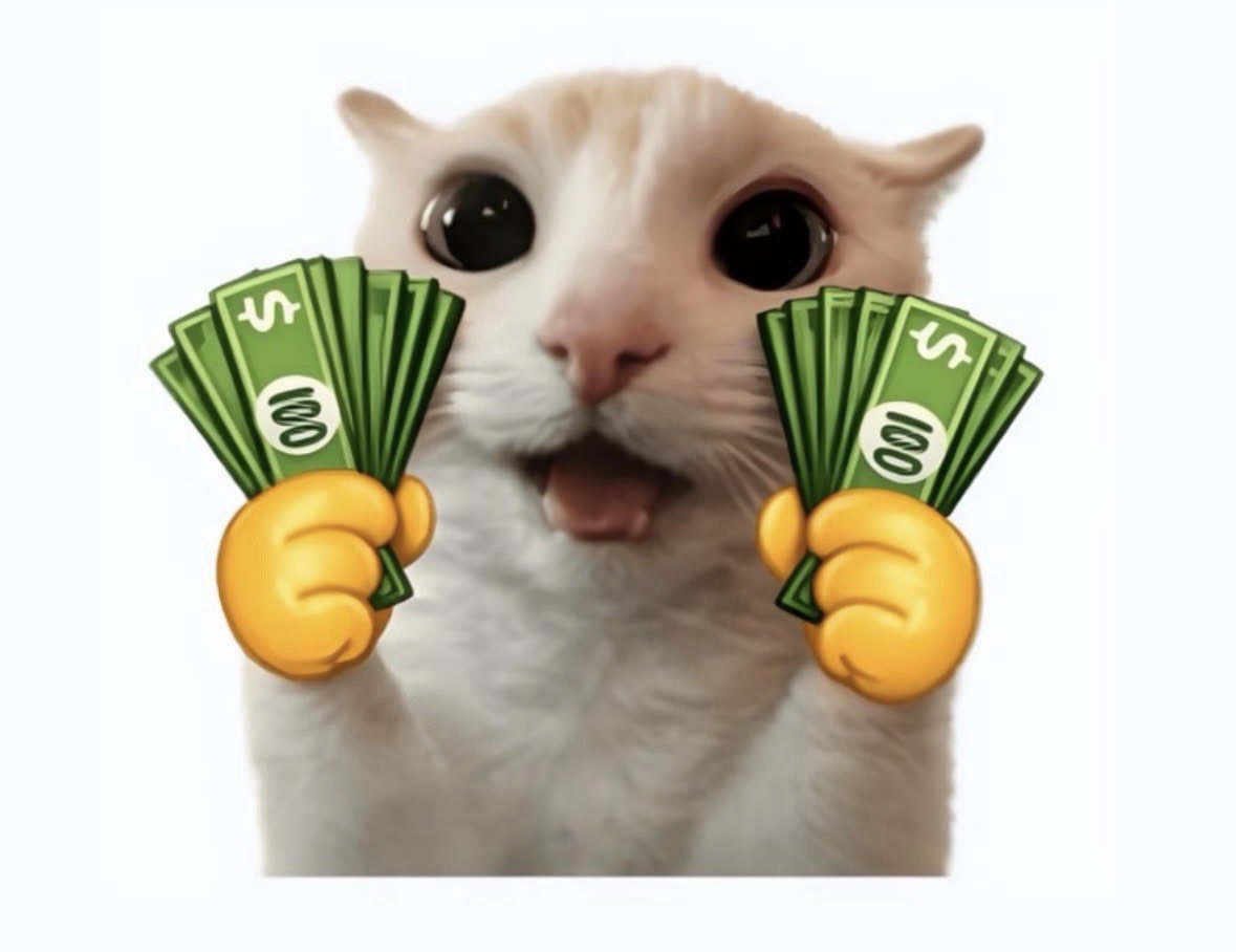 LiterallyMeCats tweet media