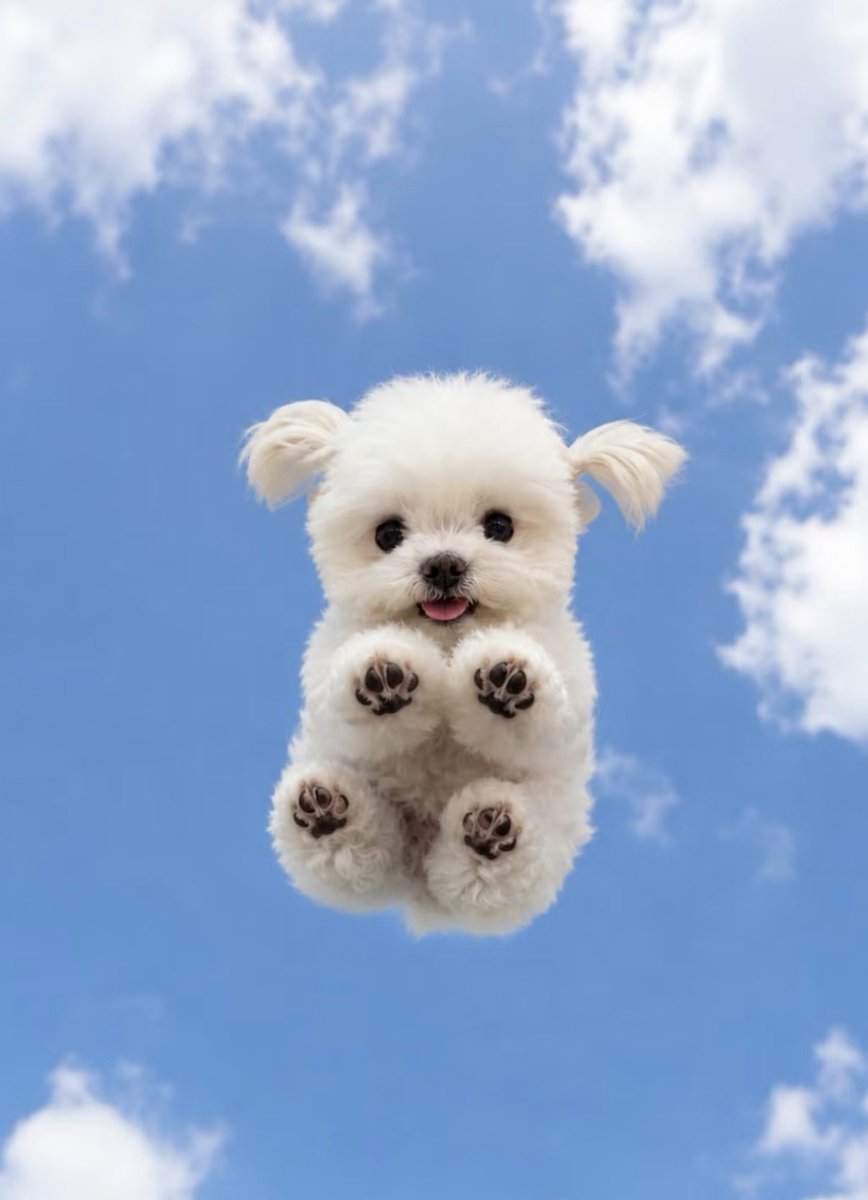 twaniimals's tweet photo. https://t.co/MihrJDcDrZ