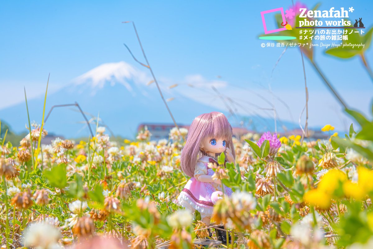 _leaf390_'s tweet photo. この辺りは湖底だった部分ですね。
水面に顔を出して長く経つのかあちこちに草花が茂ってました。

📌 六角堂②
📖 #メイの旅の雑記帳
🏷 #りんごっ子  #みりめーとる_どーる https://t.co/29Y92PidYX