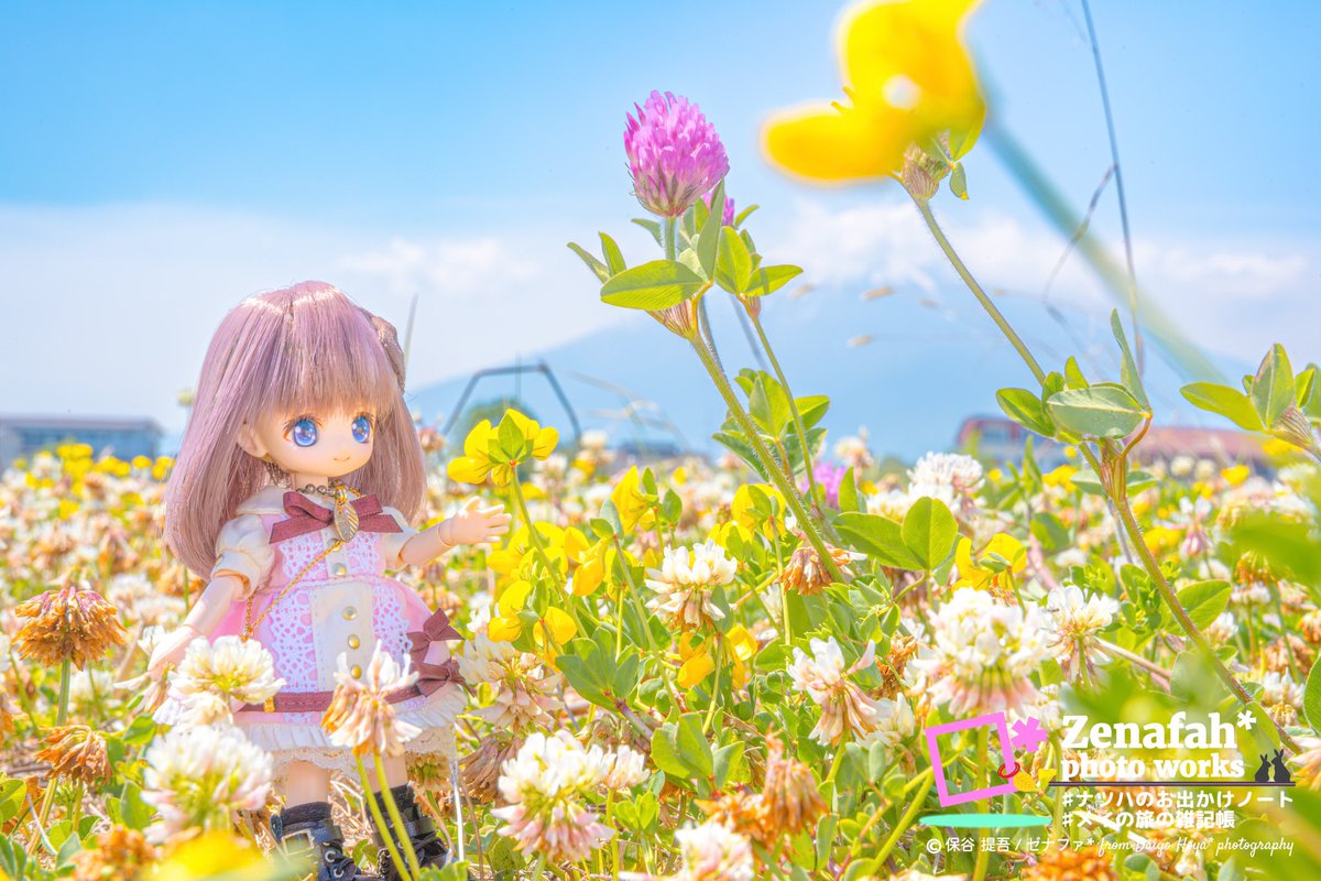_leaf390_'s tweet photo. この辺りは湖底だった部分ですね。
水面に顔を出して長く経つのかあちこちに草花が茂ってました。

📌 六角堂②
📖 #メイの旅の雑記帳
🏷 #りんごっ子  #みりめーとる_どーる https://t.co/29Y92PidYX