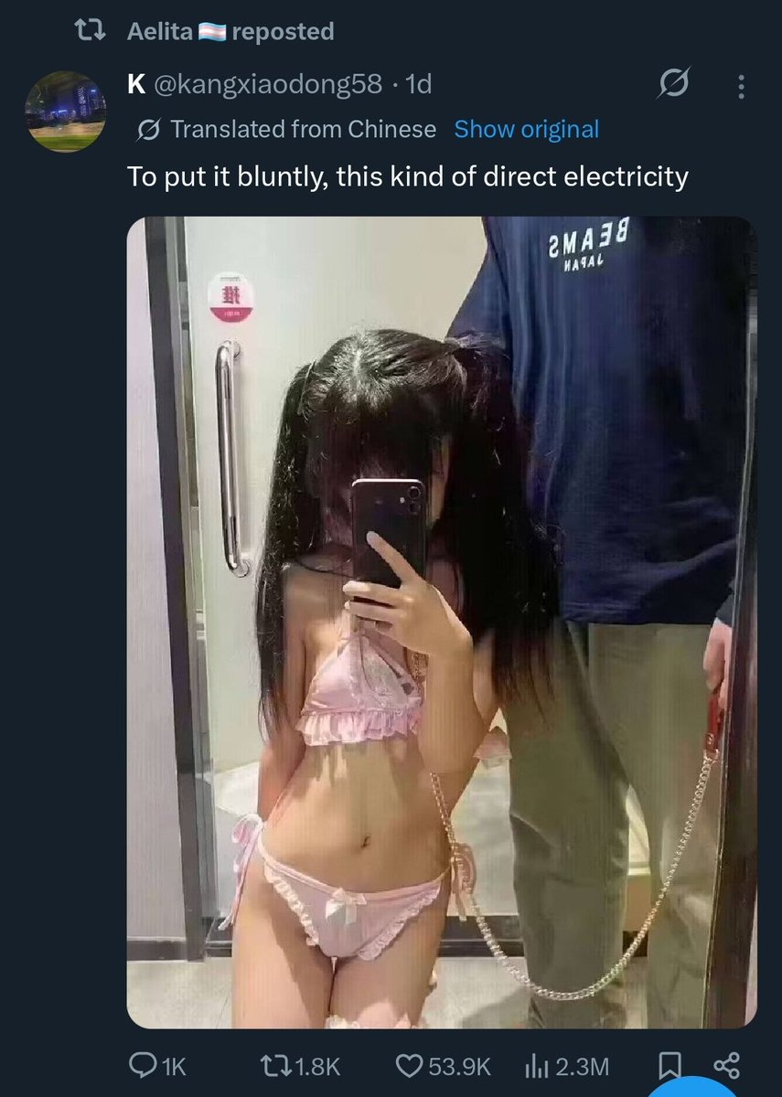 🦐 tweet media