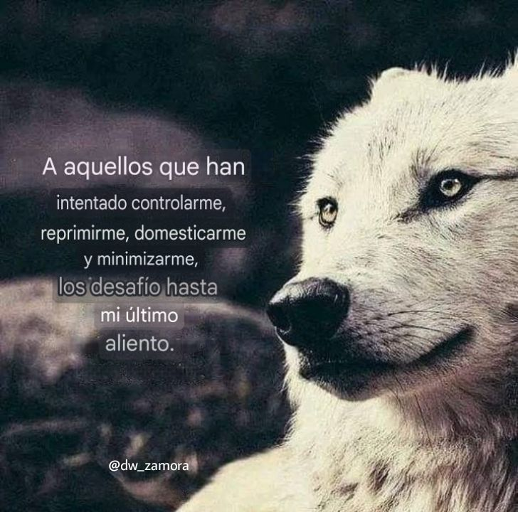 yosoyhonor's tweet photo. https://t.co/pmDsJnJ4rn