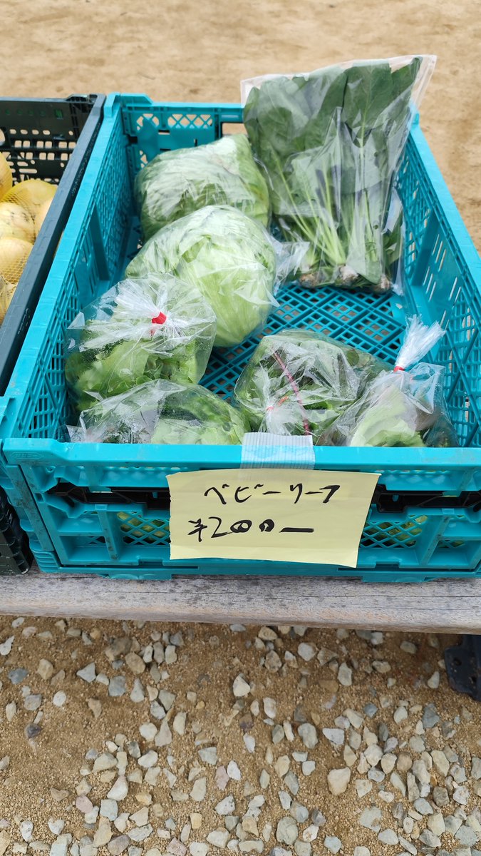 水曜恒例【アキチで朝市】 エキマエアキチの道路側で開催しています