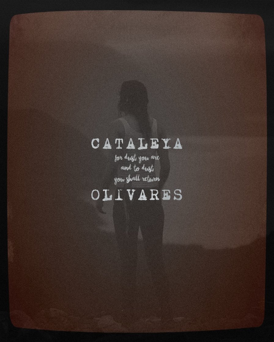 ༘⋆ CATALEYA. tweet media