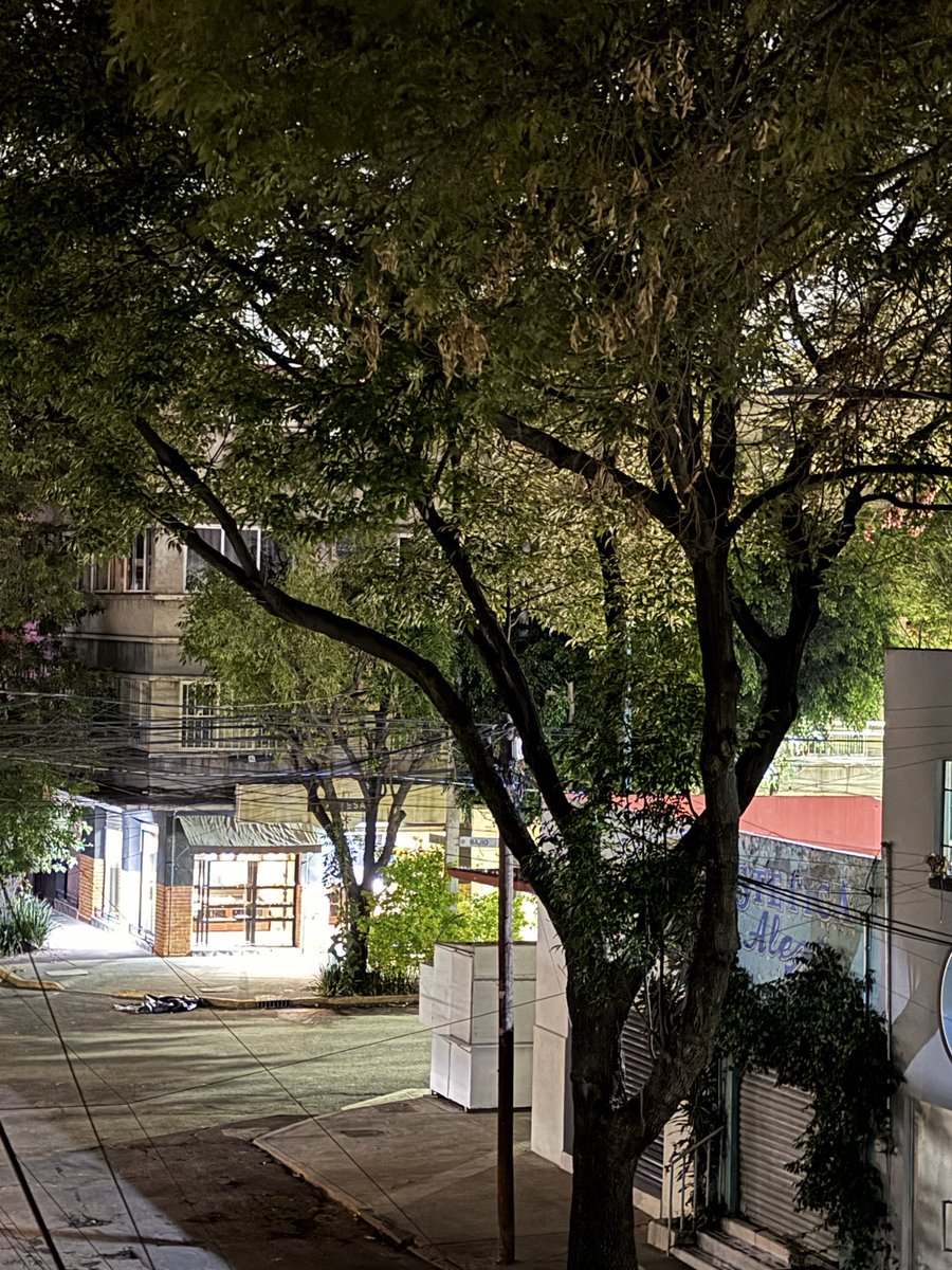 rubenLoaa's tweet photo. @AlessandraRdlv ¡Llevamos 2 semanas sin luminarias en Bajio x Salina Cruz alcaldesa! Ayúdenos 
@AlcCuauhtemocMx @CFEmx https://t.co/n2K56wtr9q