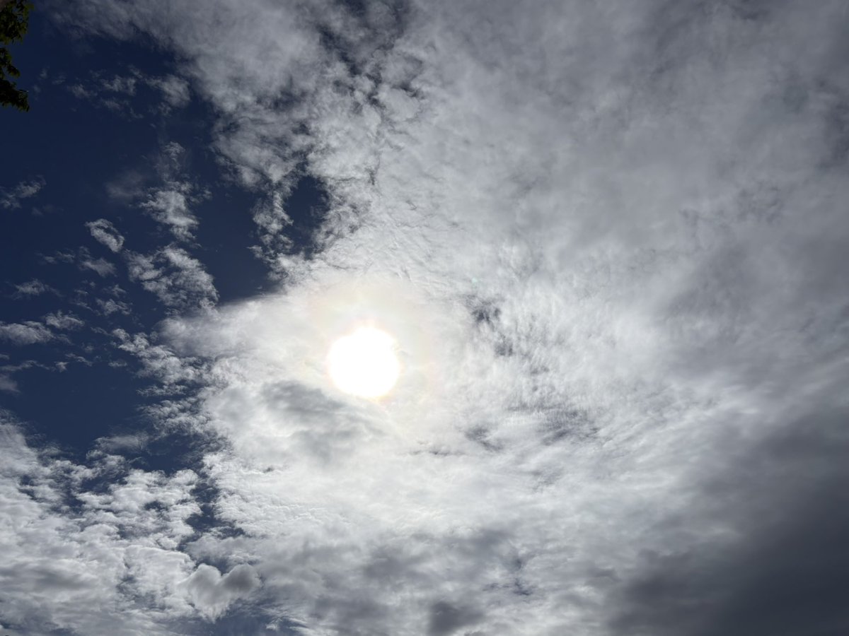 mini44978368's tweet photo. お疲れ様です☀️

あっちぇ〜ヽ(´o｀；

#過去空 https://t.co/7805Ob1PMW