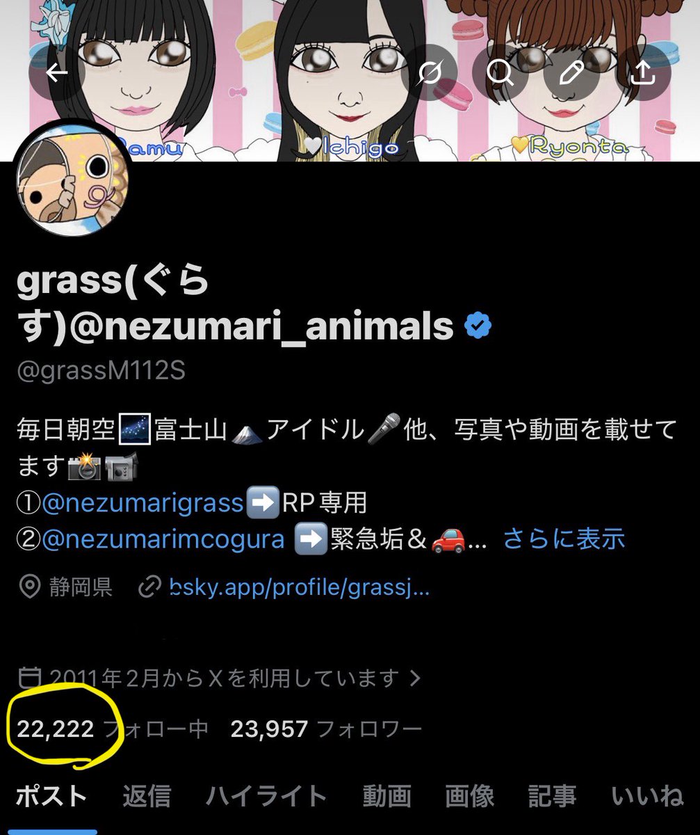 grass(ぐらす)@nezumari_animals tweet media