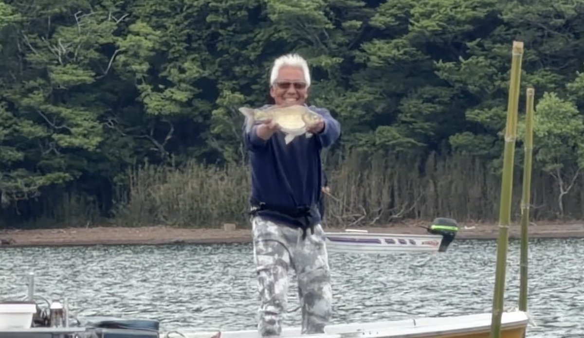 ya_man_jp's tweet photo. 芦ノ湖 湖��地区「うえ乃」さんより出船
コテージ前の水桿に舟付け
22.5尺底釣り

15時までノーピク⤵︎
でもそれ以降、急にデカウキがズボズボし出す😆回ってきた〜👏👏

素直なへらちゃん何でも食う！！

隣の熊谷さん入れパク状態で40枚！！

異常ありでした💯
これじゃなきゃね芦ノ湖は https://t.co/xE8lCX7fh1