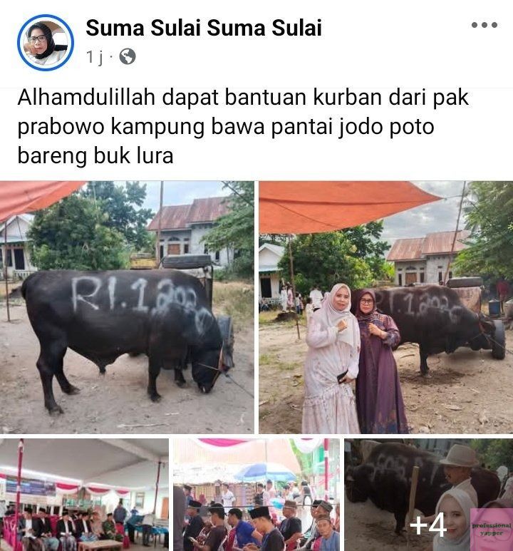 YAPPINGFESS tweet media