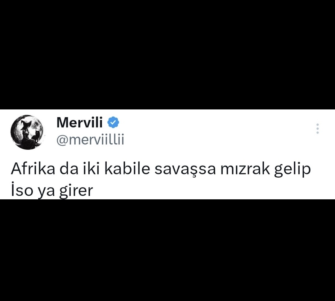 mary şanlı tweet media