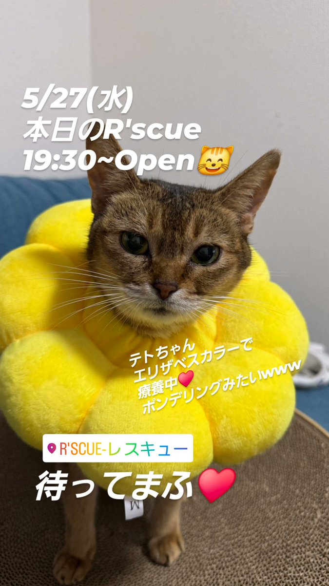 rinooooo27's tweet photo. 今夜もよろしくお願いします❤️
待ってるね❤️

R'scue
078-599-8383
https://t.co/UMJcAX4iLB

#神戸三宮バー
#神戸ミックスバー
#三宮レスキュー 
#神戸ミックスバーレスキュー 
#womanonlyparty
#神戸イベントTVANTENA 
#神戸ビアンバー
#LGBTQ https://t.co/NcjtXnypwJ