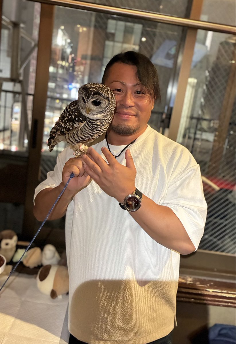kagetora_dg's tweet photo. 銀座 Triple Bogey様
ポスター有難うございます
リリィちゃんは相変わらず可愛かった
6月4日・5日は後楽園ホール大会2連戦です
#DRAGONGATE #ProWrestling
#ドラゴンゲート #TripleBogey https://t.co/lbjLFxJlYi