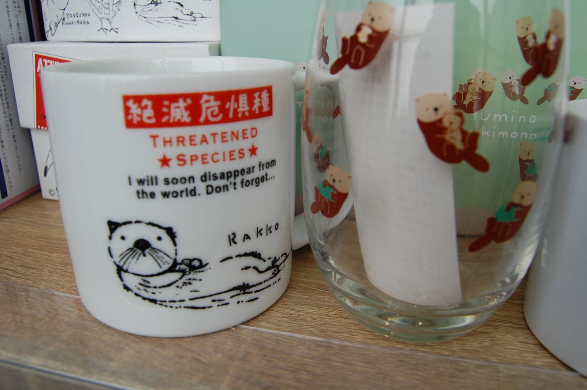 北の絶景　ルパン三世の湯 霧多布温泉ゆうゆ tweet media