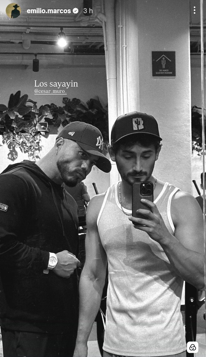 mailojinvkook's tweet photo. Lo estás dando todo para que te shippe3 con tu entrenador pero déjeme decirte que eres el Omega, y si llegan a ser alfa los dos, tu marido será delta 🥴🥺 igual me disculpas porque te entendí que me mandaste a la pura verga y andaba sentida 🫩 https://t.co/JOYoH2jWu6