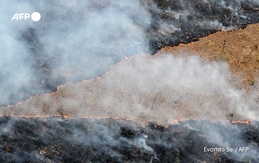Amazon Photo Afp AFP News Agency on X: