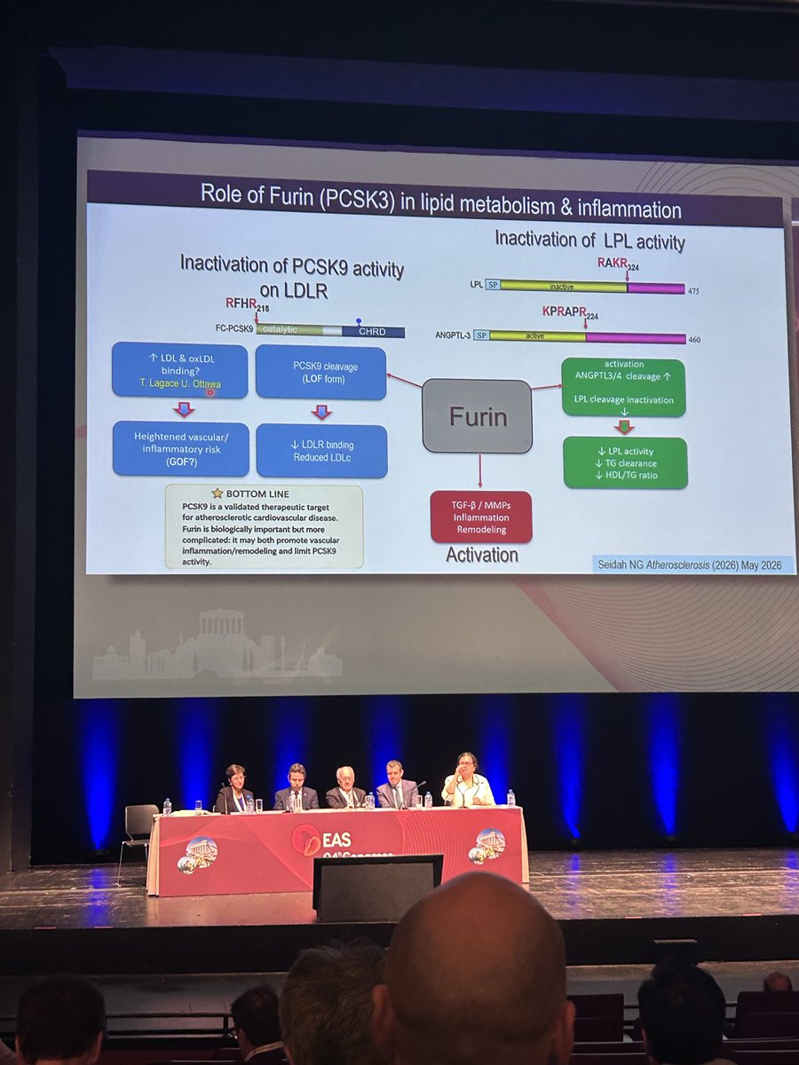 annalaura_mstrn's tweet photo. Learning about #PCSK family, beyond PCSK9: complex biology + new therapies (gene editing, nanobodies). PCSK3 links TGs & inflammation, while PCSK7 regulates apoB, lipoprotein remodeling & immune pathways (MHC I), with relevance to atherosclerosis and cancer. #EASCongress2026 https://t.co/LH5SKgYMwJ