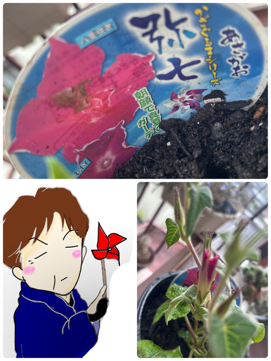 みえこ tweet media