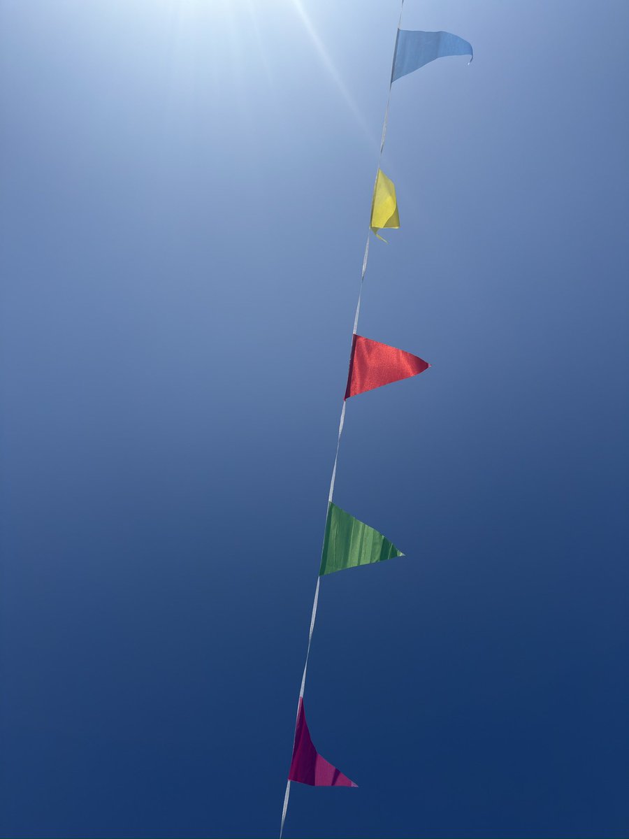 carolward5064's tweet photo. It’s cloudy at the moment in Scarborough so this is yesterday’s look up view from my garden sunbed! Have a wonderful Wednesday everyone!
#lookup
#herecomesthesun
#sunbeam https://t.co/Vo6eI519hj