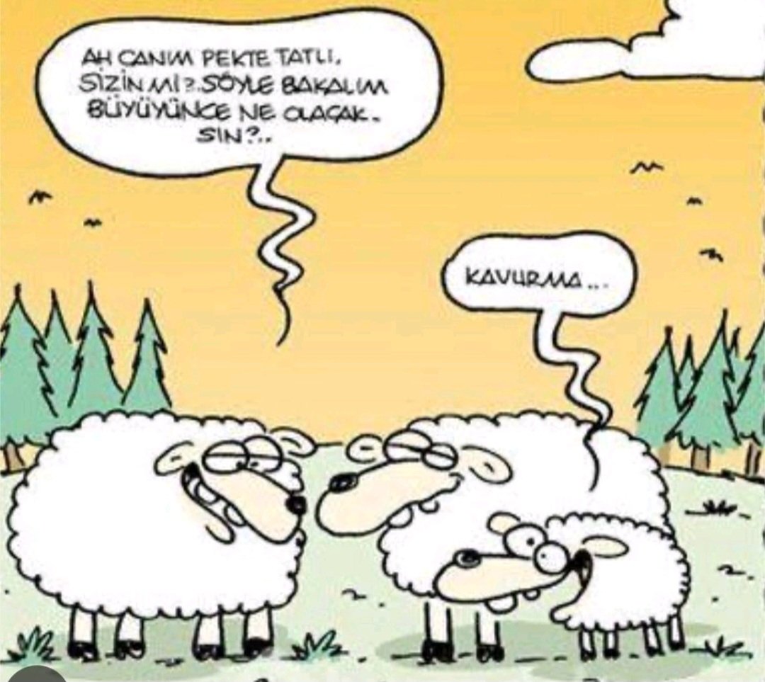 banucezer's tweet photo. #İyibayramlar yüreği güzel insanlar 🥰 https://t.co/WPzgvBWG2j