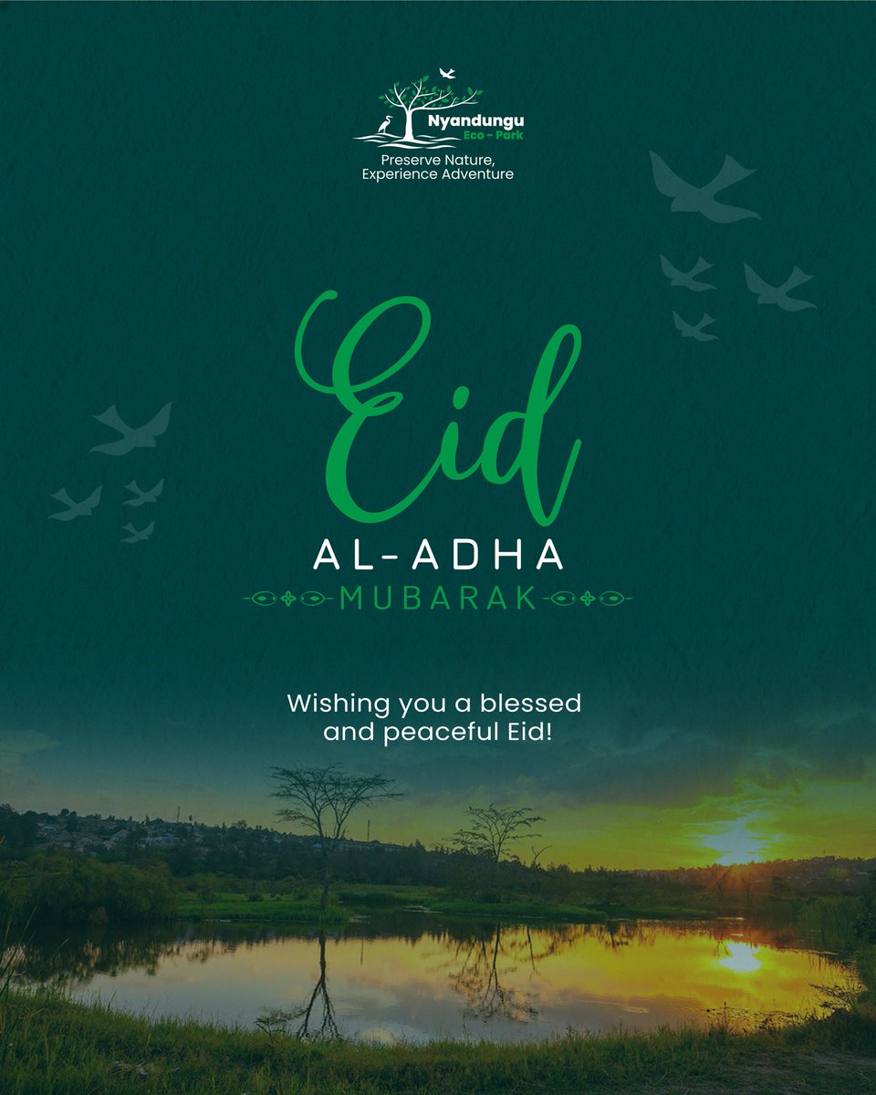 nyandungupark's tweet photo. Eid Al-Adha Mubarak to you and your loved ones! 🌙✨

Celebrate this special season at Nyandungu Eco Park 🌿
Enjoy nature, fresh air, and beautiful moments with family and friends. 💚

#NyandunguEcoPark #EidAlAdha #VisitNyandungu #DiscoverKigali https://t.co/gITvSXzOHk