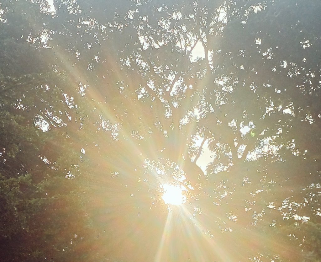soleil. tweet media