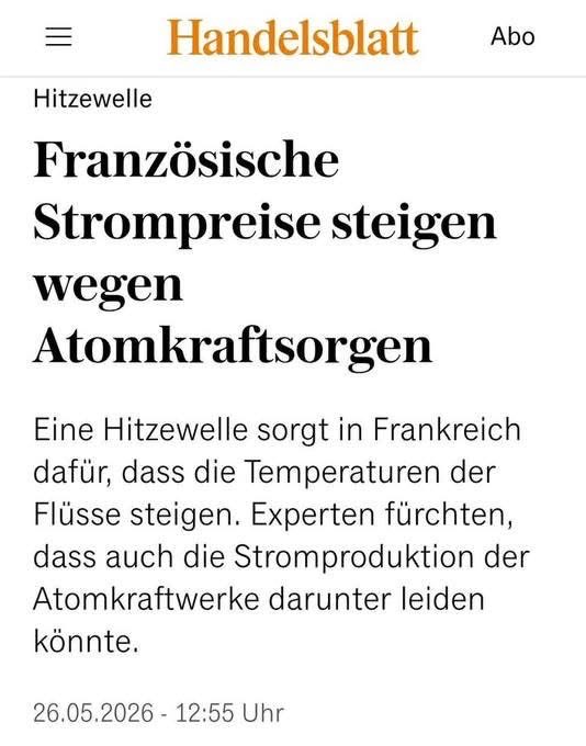 Littlewisehen tweet media