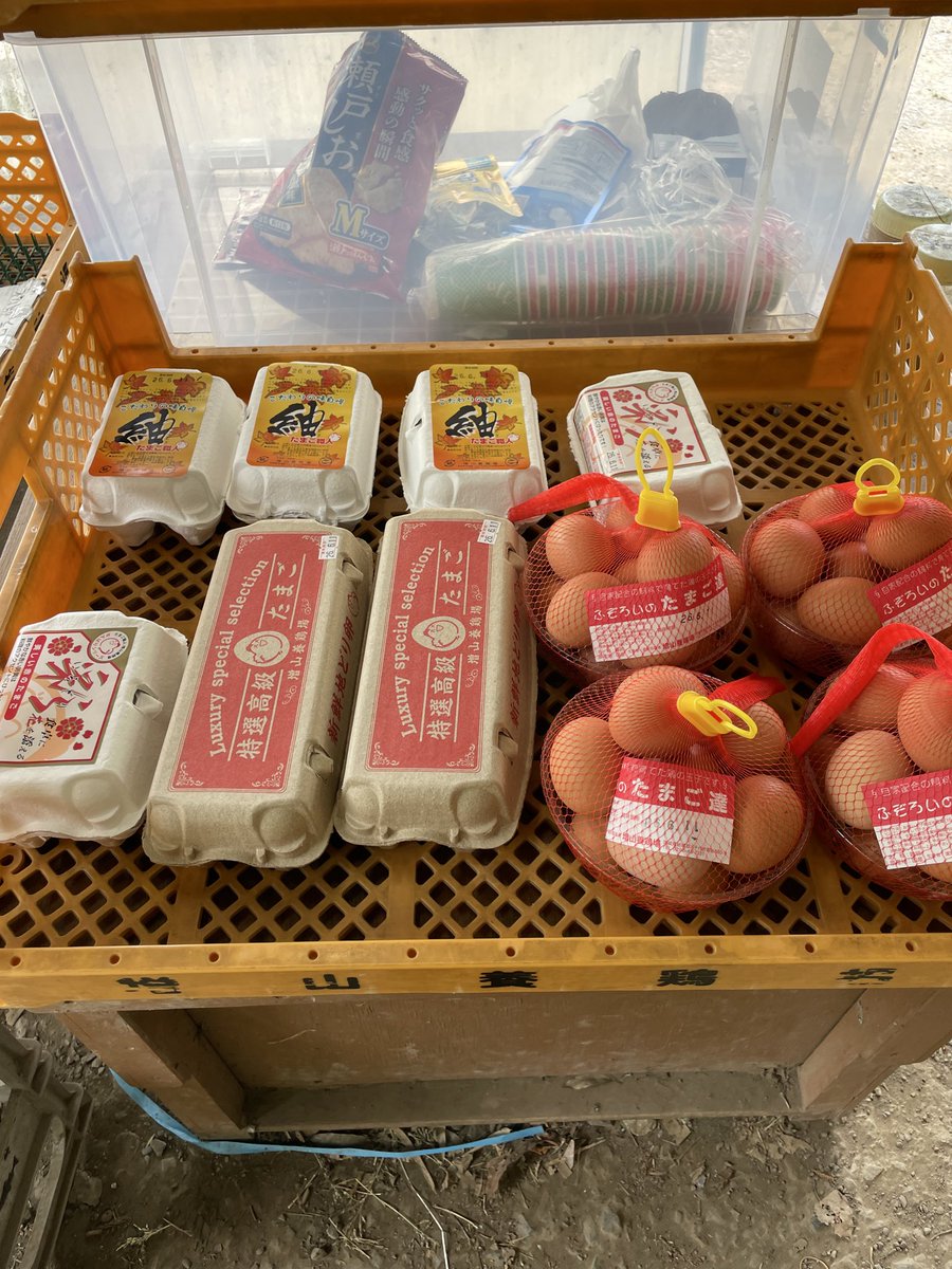 suica_egg's tweet photo. フィッシィングエリアJさん

卵納品しました！

気温が高く難しいと言われる状況でも正解はあり釣る人は釣ってました！

よろしくお願いします！ https://t.co/3DJPHT9XWA