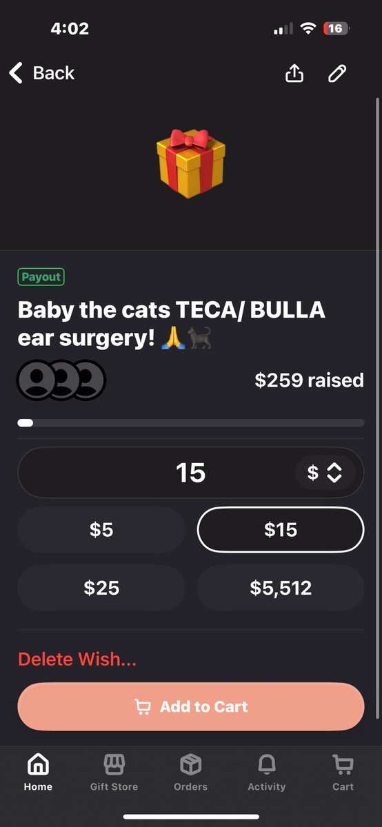 wrencontent's tweet photo. My rescue cats second surgery could be from 2k-5k the specialist said :( 

I haven’t been able to work much at my irl job bcs of my health issues, so I’ve been saving up for his surgery.

Anything helps either to my cashapp , Apple Pay, or throne🥹 

He was rescued from a dump😭 https://t.co/44zDELgzYX