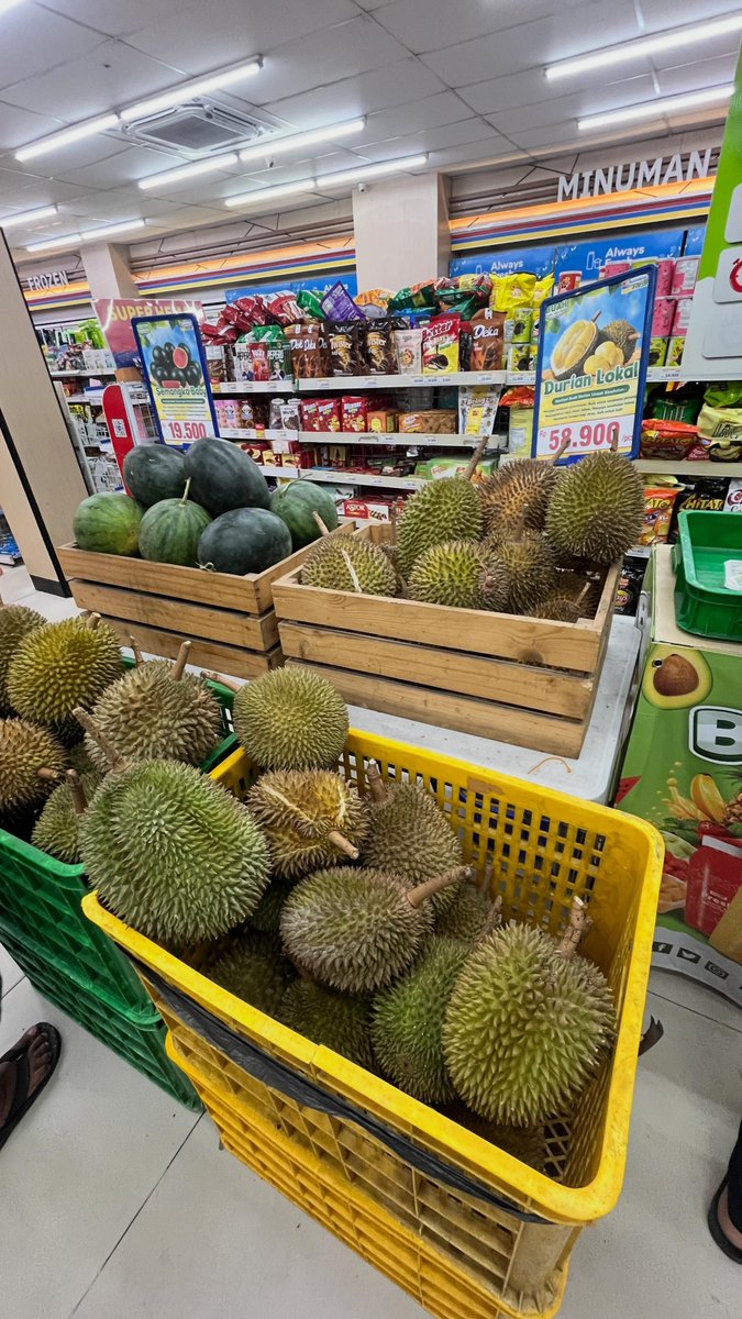 KapudS640's tweet photo. Duren 50ribuan di Indomaret seenak apa ? 
Enak banget, manis, mateng, legit, duren banget.
Tadi dikasih tips bapak2 yg lagi milih juga (dia udah 2x beli di Indomaret ini katanya durennya enak ngga zonk) :

- pilih tangkai yg besar dan kokoh, klau letoy berarti masih muda nanti rasanya kureng 
- durinya jarang 
- pilih yg bentuknya cenderung bulat 
- wanginya udah keluar banget
Dan benar ternyata duren pilihanku mantul

cc:threadmitha.nv