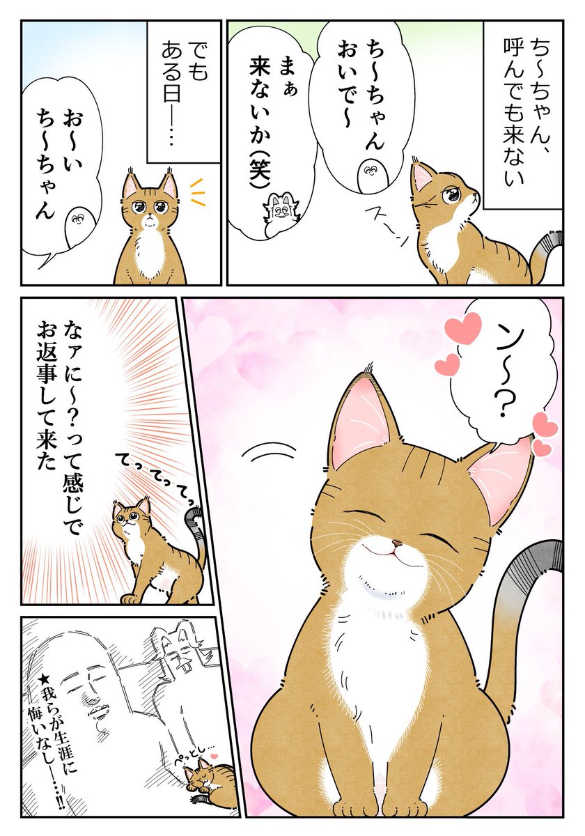 も～ tweet media