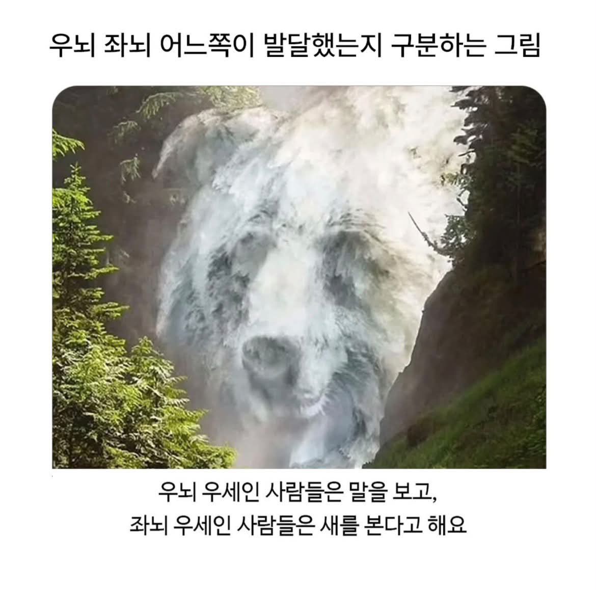 쿠쿠 tweet media