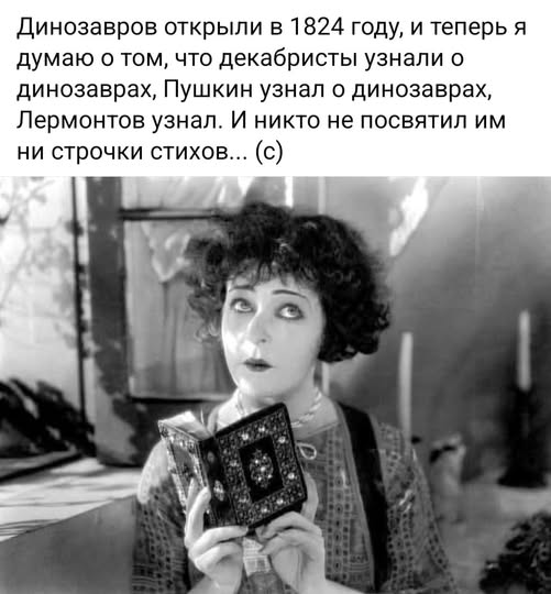 Elena tweet media