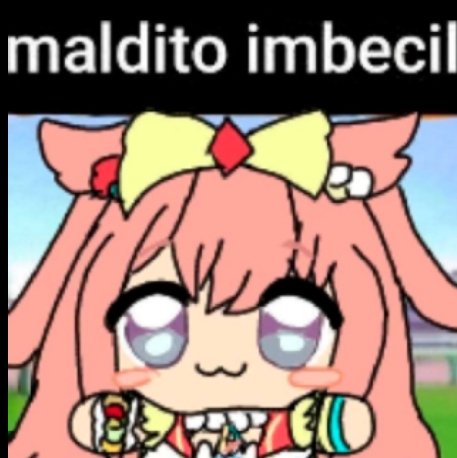 Shark 640 🥄 tweet media