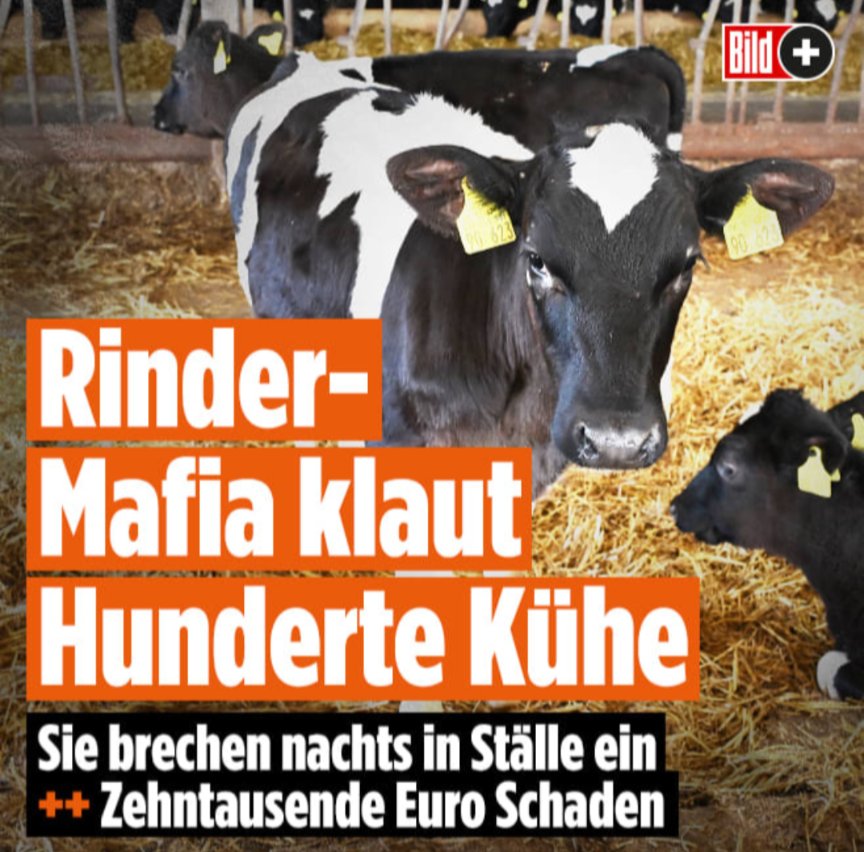 Relotiuspresse tweet media