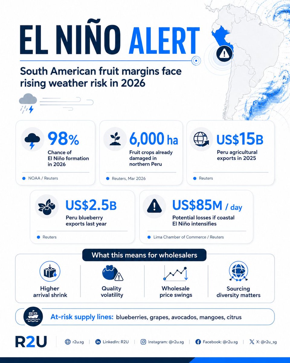 R2U_SG's tweet photo. El Niño models just pushed the probability to a striking 82% for late 2026. Severe heat/rain anomalies are locked in for South American berry and grape belts. 

Expect high arrival shrink and wholesale price volatility. Sourcing diversity is key. ⛈️

#R2U #elnino #climatechage https://t.co/aYMw9brPa2