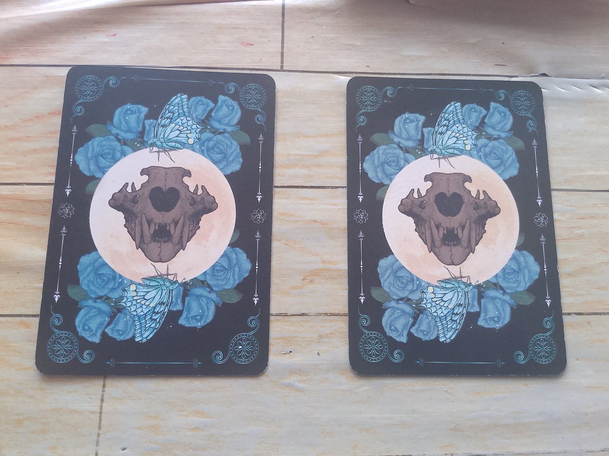 Vanessa — TAROT READING tweet media