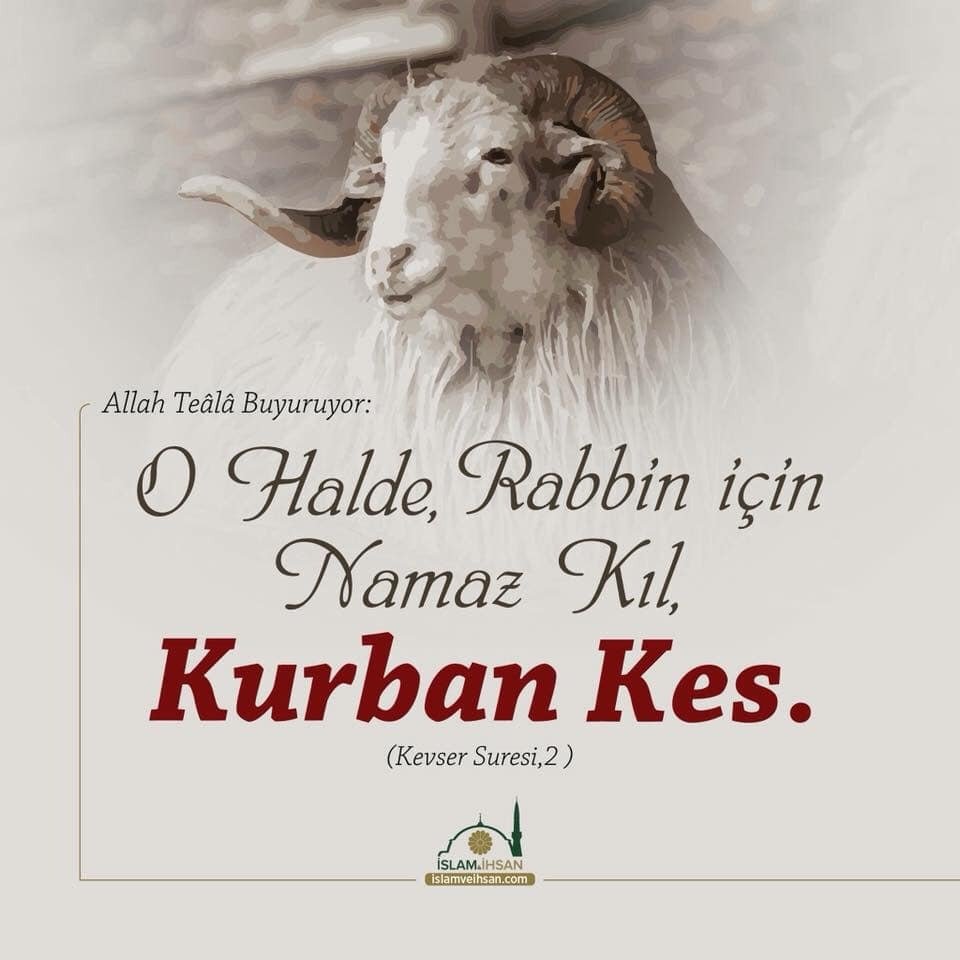 KmuKusi's tweet photo. Kurban Bayramımız mübarek olsun. Hayırlı Bayramlar
#KurbanBayramımızMübarekOlsun https://t.co/LbmRkqrvXp