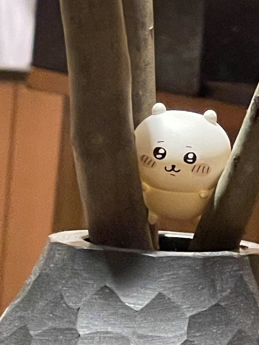 lantern825's tweet photo. 私の推しがこんなところに‼️
ずっとずっとこのお猪口で飲みたかったんだよ❣️ https://t.co/vLLLhU7hGw