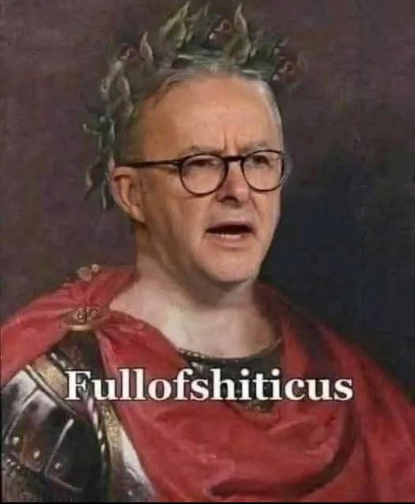 Wayne 🇺🇸🇦🇺 tweet media