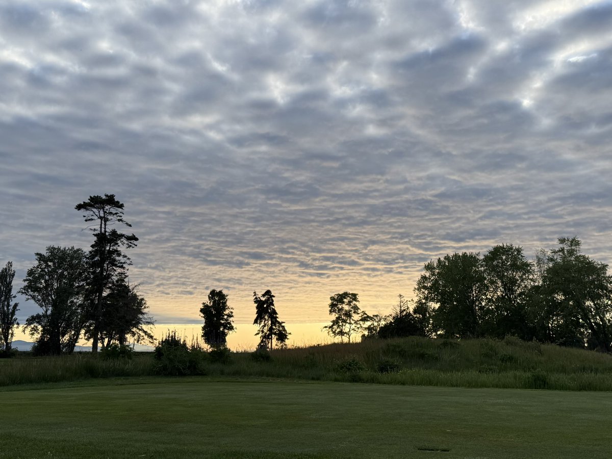 LynneNakashima's tweet photo. Playing behind the @bc_golfer Mid Amateur Championship at @QuilchenaGolf on Day 26 of the #WorkoutToConquerCancer!
The Active Ingredients team is now over 14,000 minutes!
Help us support @bccancerfdn ! To donate:
https://t.co/hxMiOHvWnQ
WorkoutBC #WorkoutBC #WhyIWorkout https://t.co/AC77Y4b5D4