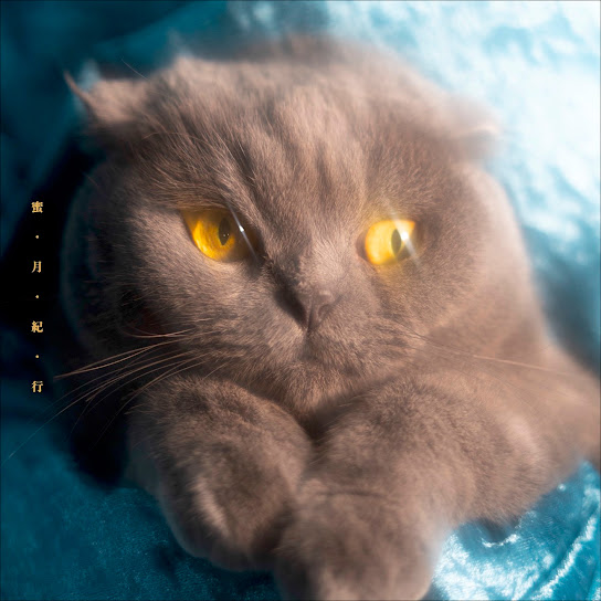 FefoDailyAlbum's tweet photo. 蜜・月・紀・行[Mitsu Getsu Ki Kō] - 猫戦[Nekosen] (2022) #518
9.5/10.0
Indie Pop, Pop Rock, Soft rock, female vocals, soothing, bittersweet, melodic, love, warm, mellow, sentimental, peaceful, longing, nostalgia, cozy https://t.co/WT7H48RCi3