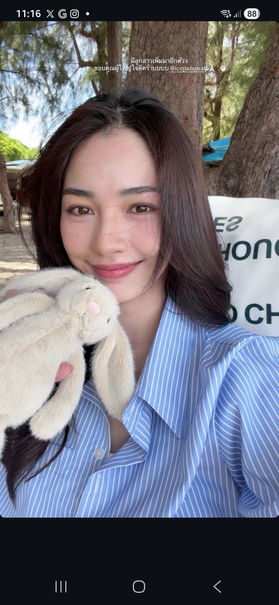 aoikotori | อาโออิโคโทริ | 青い小鳥 tweet media