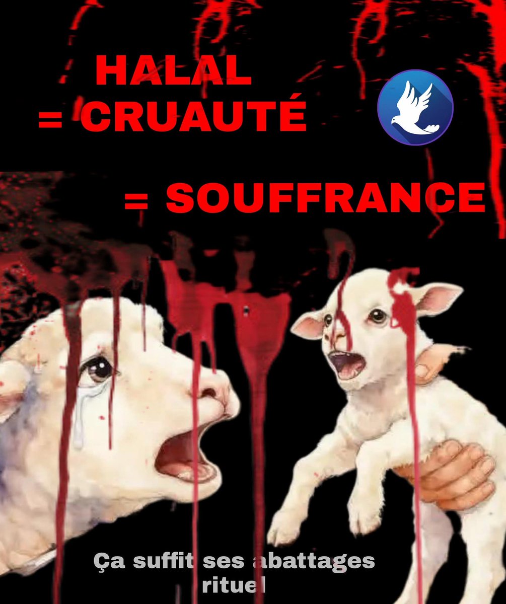 MenteCorpore34's tweet photo. 🚨 C'est aujourd'hui l'#Aïd qui commémore Le Sacrifice d'Abraham chez les #gentils de l'#islam 🤔 il y a bien quelques réactions contre l'#halal mais #SILENCE des #gauchistes #anticorridas 🩸 et personne contre le #kasher ... Monde #immonde d'#hypocrites 🚨 https://t.co/HfayNBWUOB