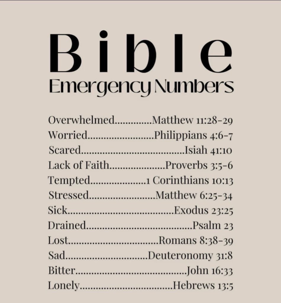 Holy Bible tweet media