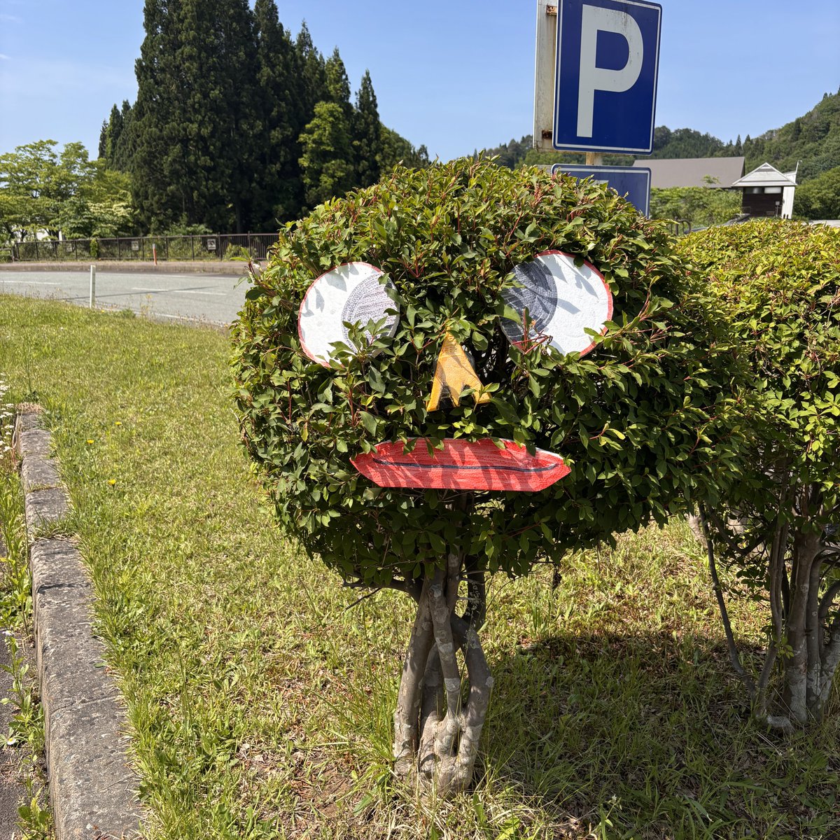 AkitaYufore's tweet photo. 植木に顔が出現😂スタッフの遊び心です😁
ユフォーレにお越しの際は、見つけてみてくださいね👀 https://t.co/HV0nbuDFaH