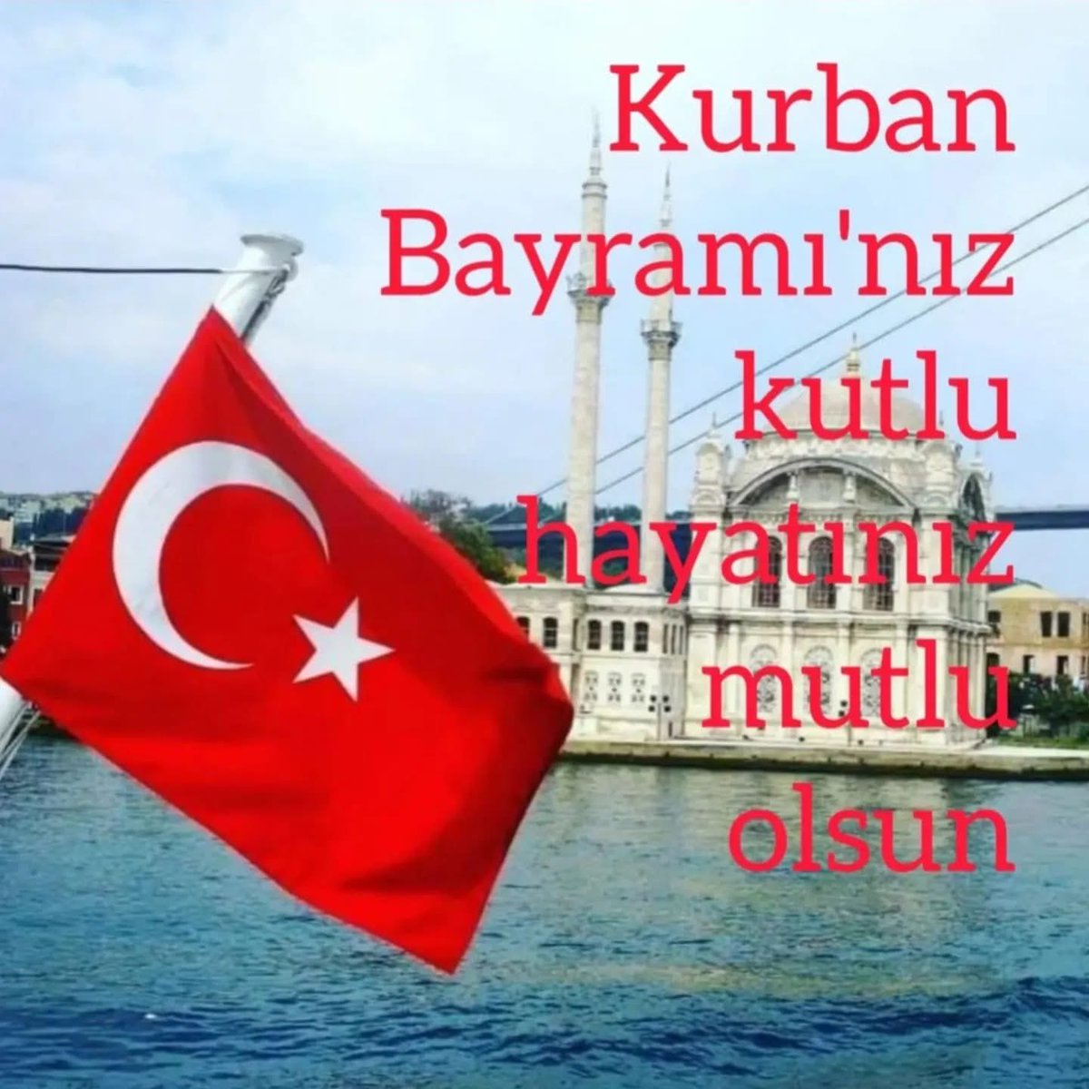 tikhaci's tweet photo. https://t.co/ztT6mXTkxP