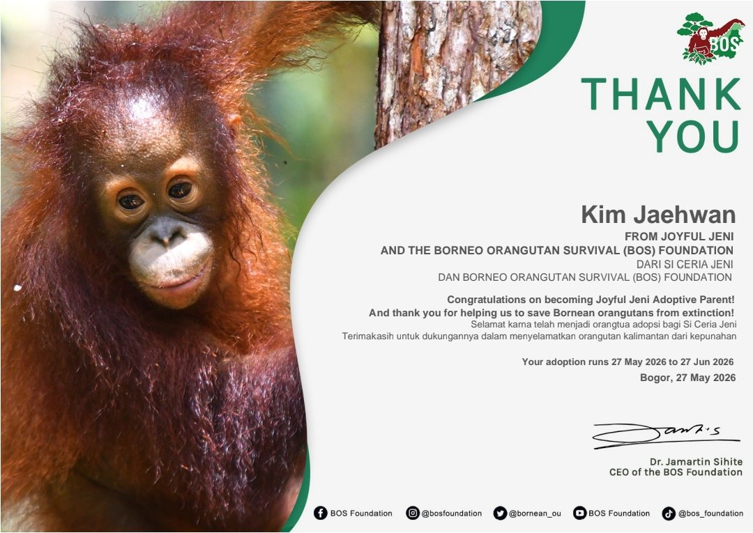 hwanir527's tweet photo. 🎉🐵 In celebration of Kim Jaehwan’s birthday, we officially adopted 1 cute & smart orangutan named Jeni 🧡✨
Thank you for spreading love and kindness together with us 🌿💫
Happy Birthday Kim Jaehwan 🎂💜 

•project by @hwanir527 @Jaenittt

#헬로우_명창강쥐_재환생축
#HELLO_JAEHWAN_HBD
#봄바람처럼_설레는_재환데이
#KimJaehwan #김재환