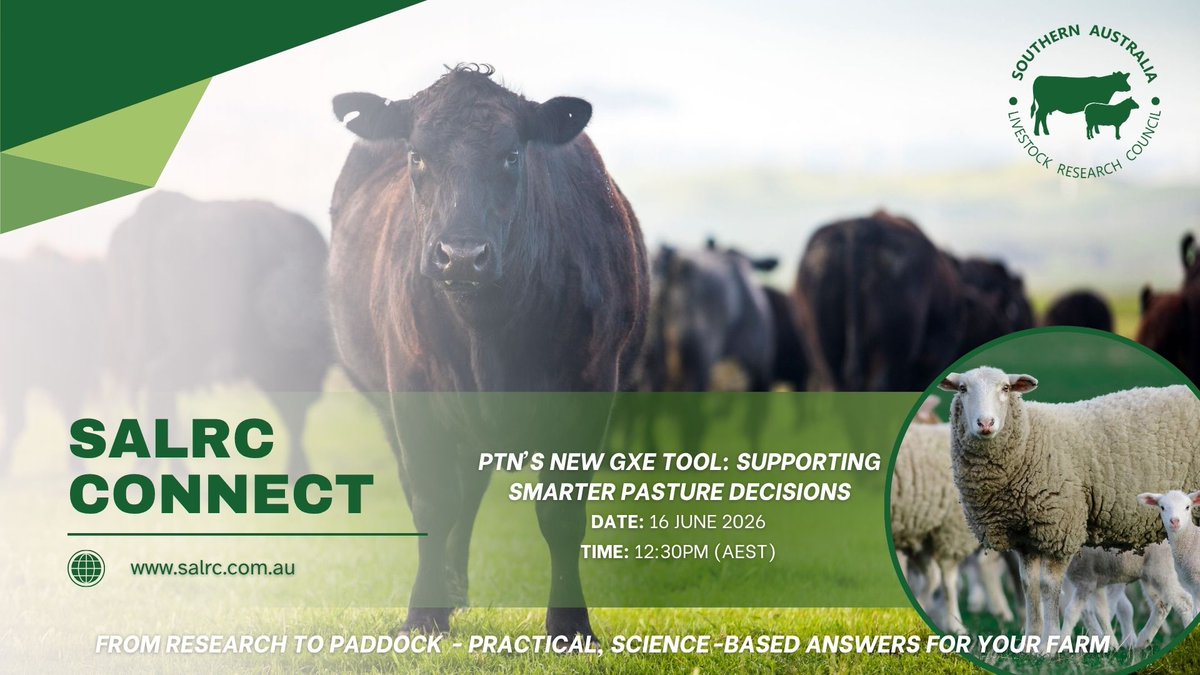 SalrcInc's tweet photo. SALRC CONNECT Webinar - Join us to explore the Pasture Trials Network’s new GxE Tool and how it is helping producers make smarter pasture sowing decisions using independent trial data and environmental analysis. More info and registration: https://t.co/iUnykPQ3Fv https://t.co/CWUE3OJWLT