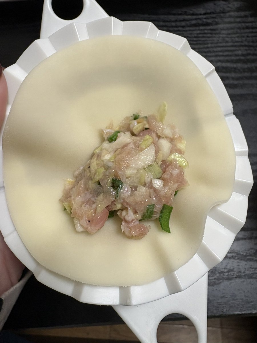 餃子包むのだけは 小学生の時から 手伝っていたのに🥟 ついつい¨これ
